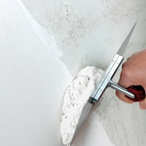 Wallcare Putty
